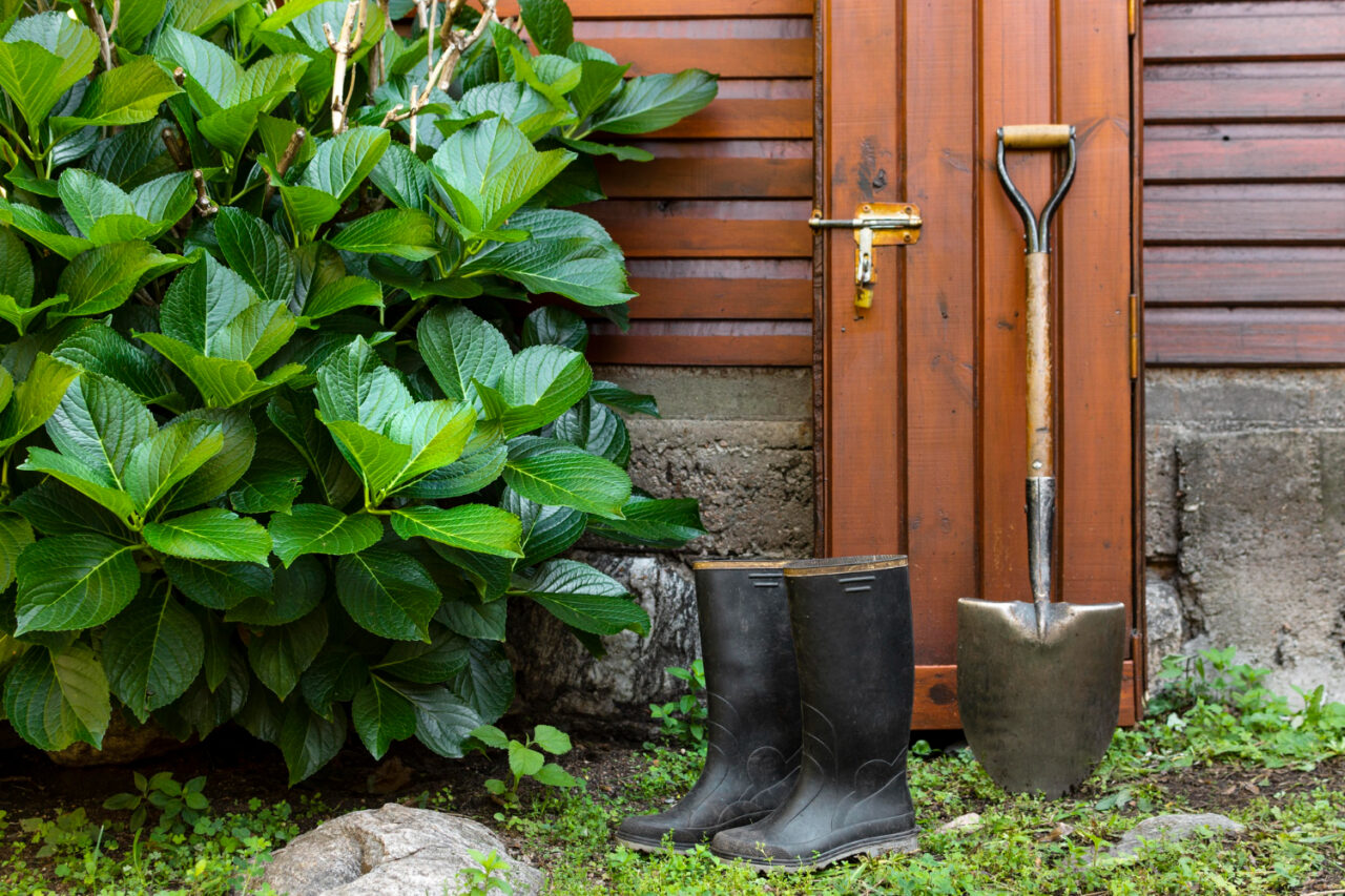 Garten mit Wasserhahn